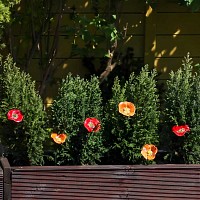 Fleurs sauvages en céramique sur tige à planter - Déco jardin
