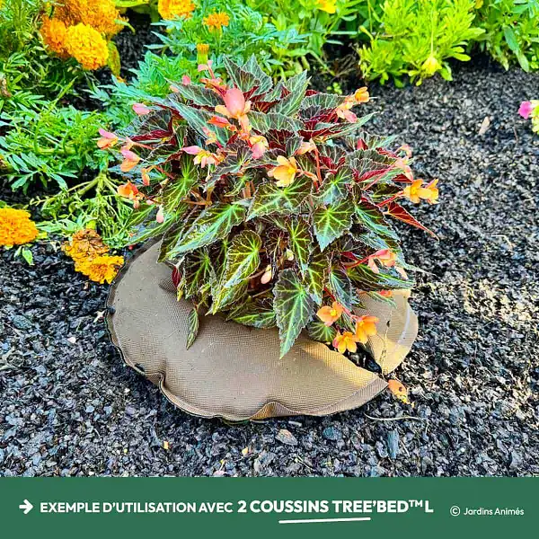 coussin arrosage tree bed utilisation