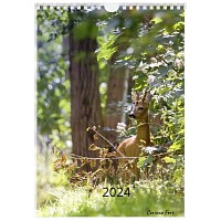 Calendrier photo 2024 - Entre bois et prés