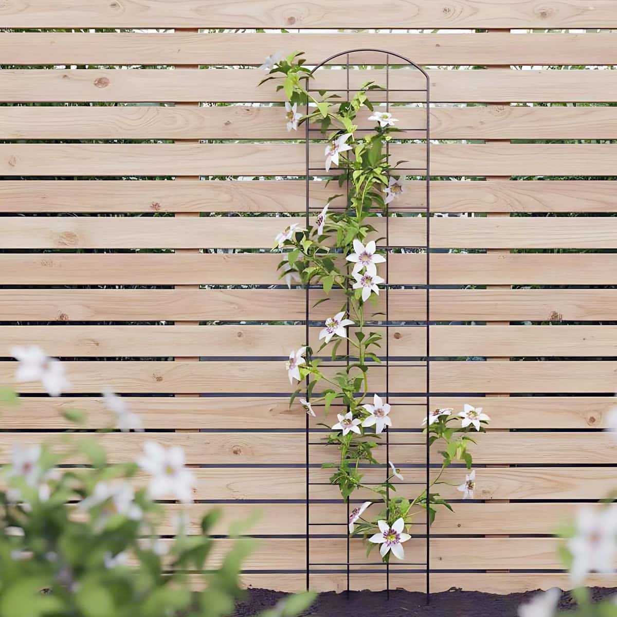 dafe41 140cm treillie mural