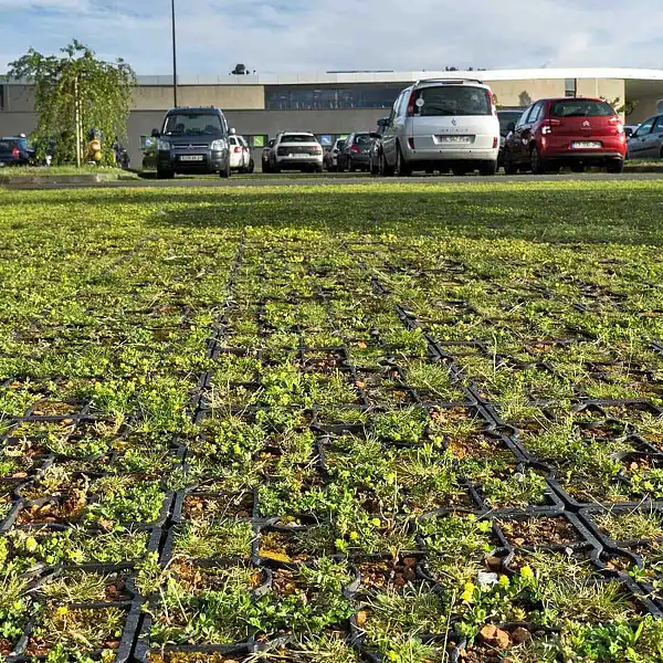 dalle sedums parking voiture