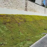 Dalle pré-végétalisée pour allée carrossable 33x99cm - 0.32m2