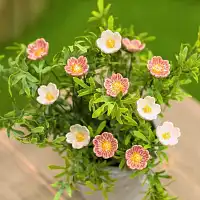 Eglantine rose - Fleur en céramique sur tige à planter