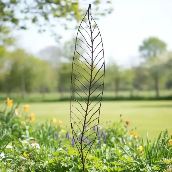 deco jardin feuille charme