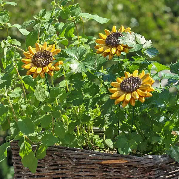 deco jardin fleur tournesol