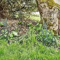 Silhouette lapin origami en acier corten H. 43cm