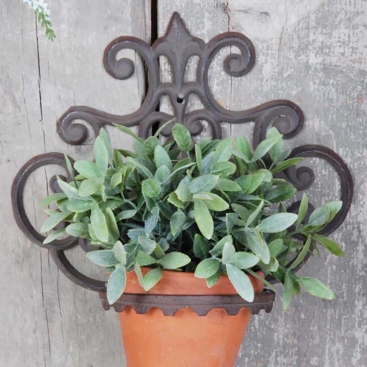 decoration murale plante