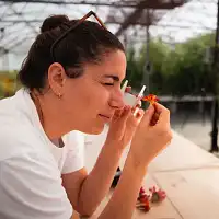 Formation en ligne - Comprendre les plantes