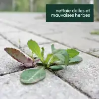Destructeur total 5L - nettoyage dalles et terrasses