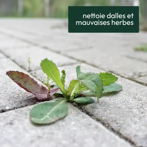 destructeur nettoyant dalle jardin allee