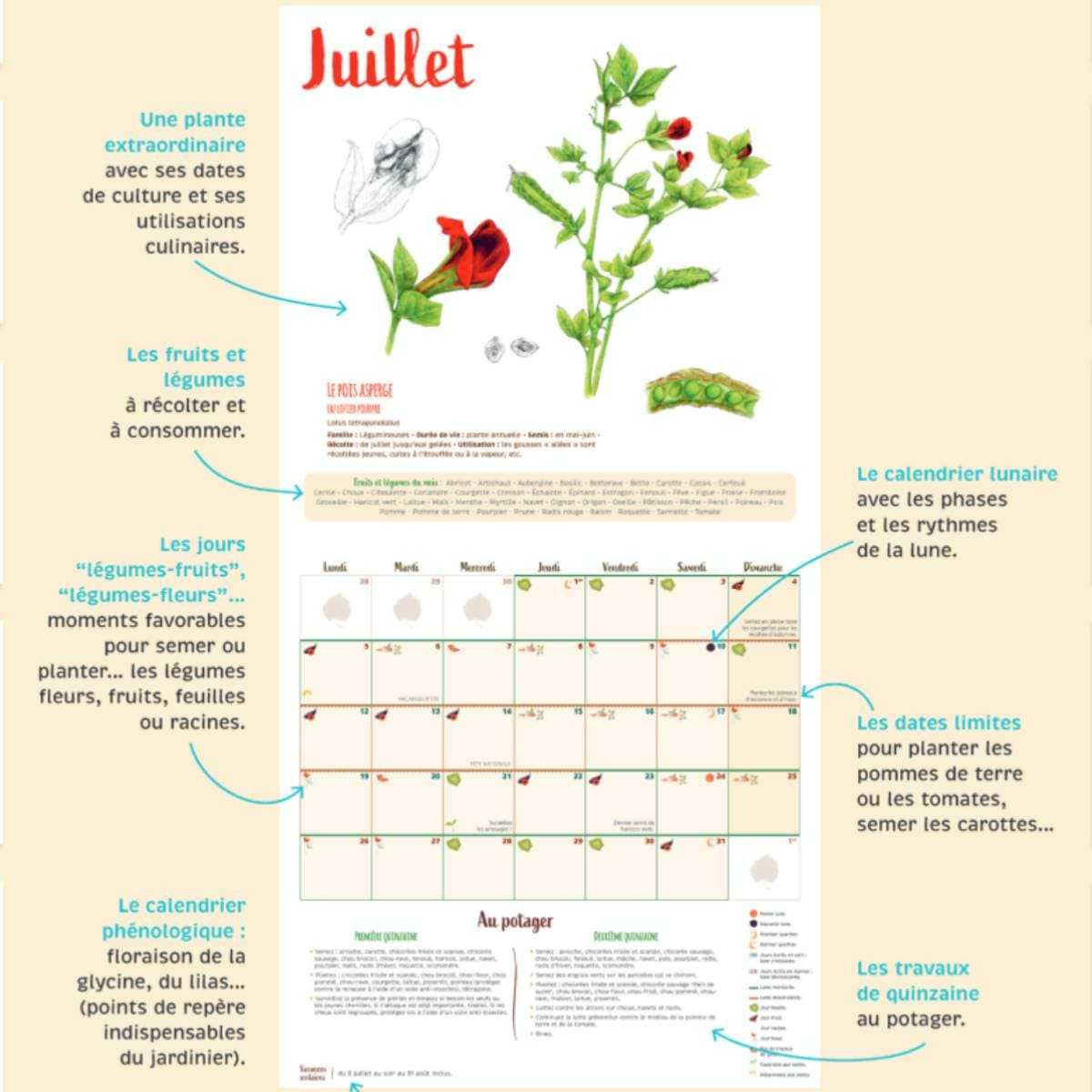 Calendrier 2024 – Potager – Terre & Nature