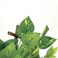 Brise-vue feuillage artificiel - Treillis extensible L.180 x H.90cm