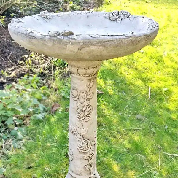 details roses abreuvoir pied oiseau