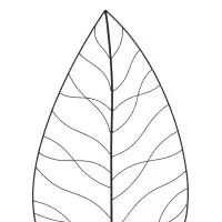 Treillis décoratif grande Feuille - Tuteur pour plante grimpante en fer L.72,50 x H.180cm