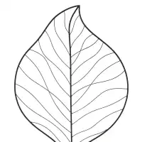 Treillis décoratif Feuille - Tuteur pour plante grimpante en fer L.62 x H.140cm