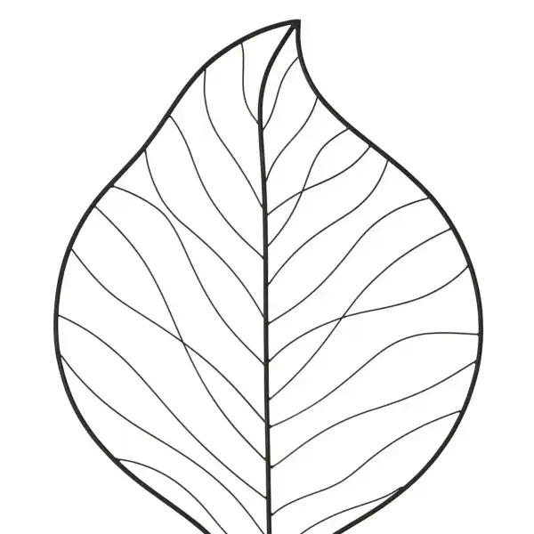 details tuteur plante grimpante feuille