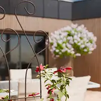 Tuteur treillage en acier pour rosier et plante grimpante avec volutes L. 39,5 x H. 170cm  Tuteur treillage en acier pour rosier et plante grimpante avec volutes L. 39,5 x H. 170cm