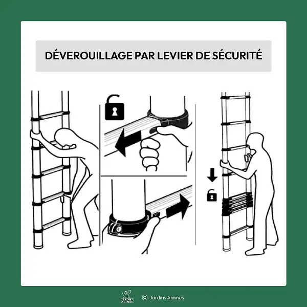 deverouillage levier securite echelle telescopique