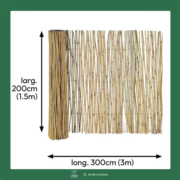 dimension canisse 200cm