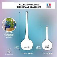 Globe d'arrosage en verre pour plante, cristal de Baccarat - Réserve d'eau 0.5L ou 1L