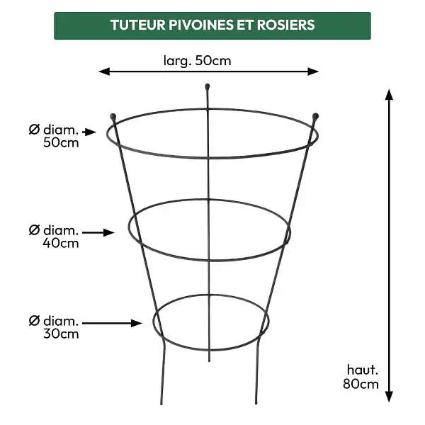 dimension tuteur pivoine