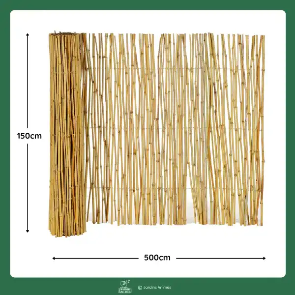 dimensions canisse bambou 150 500