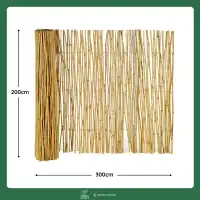 Canisse de bambou fendu 200 x 300cm
