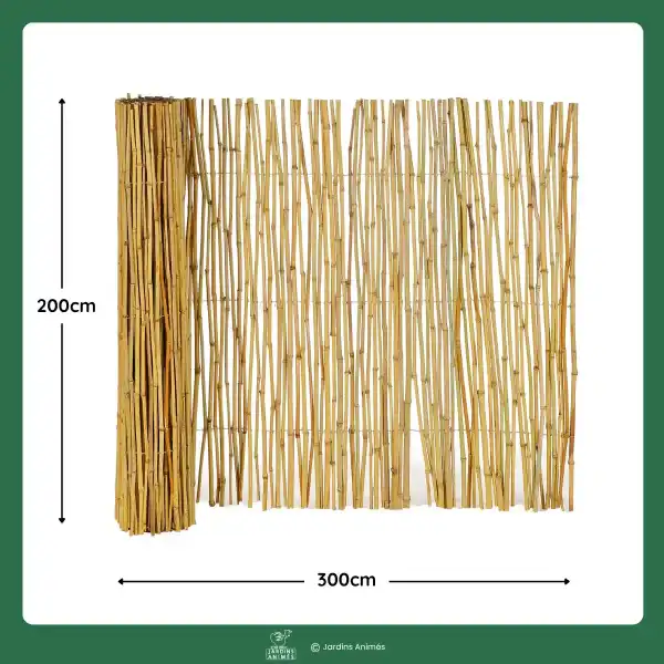 dimensions canisse bambou 200 300