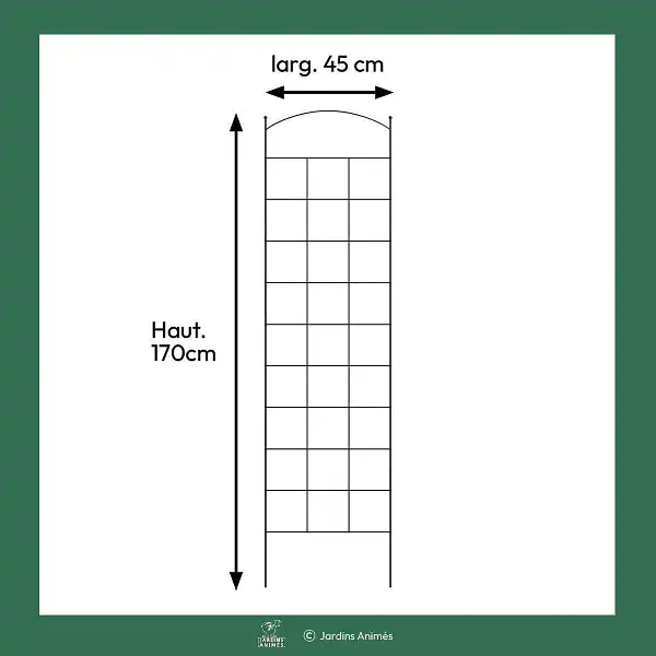 dimensions treillis dafe91