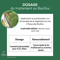 Traitement Pyrale du buis au Bacillus Thuringiensis - Agit sur larves et chenilles 15g