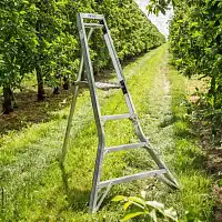 Echelle fruitière tripode Mimax - Escabeau de jardin