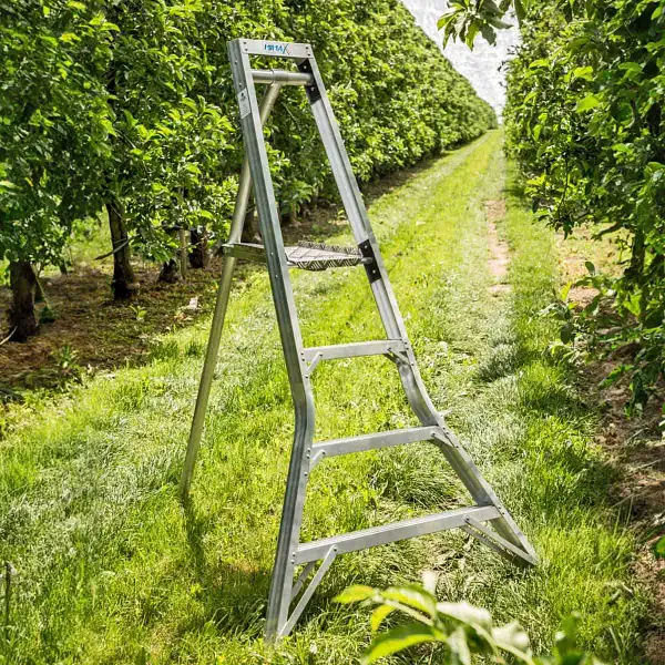 echelle escabeau plateforme