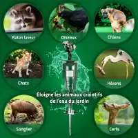Répulsif animaux à jet d'eau pour massifs et bassins - Détecteur de mouvement anti-chats, oiseaux et hérons