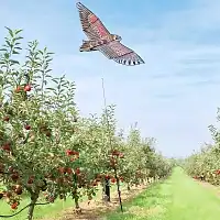 Effaroucheur epouvantail oiseau cerf volant avec mât