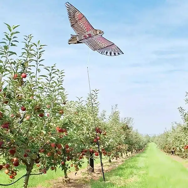 effaroucheur oiseau volant verger