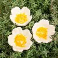 Eglantine blanc - Fleur en céramique sur tige à planter