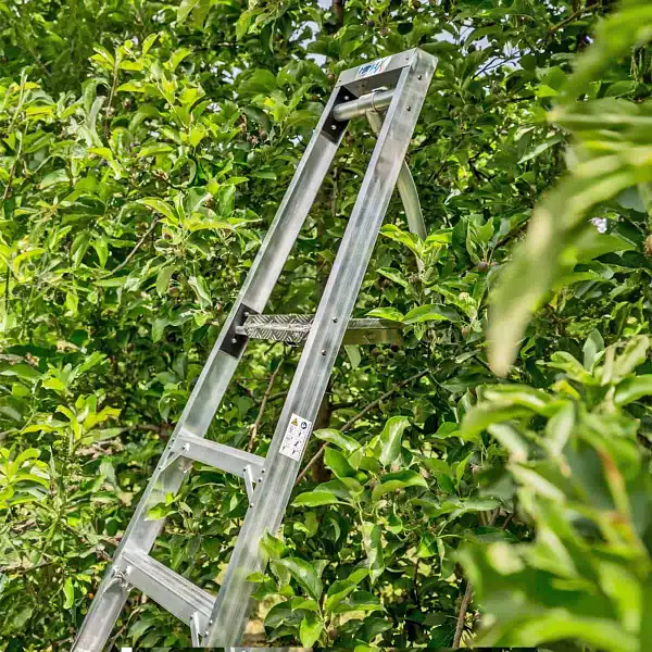 escabeau taille haie