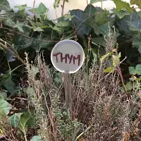 Etiquettes de jardin en verre artisanales - lot de 5