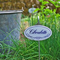 Etiquette de jardin plante aromatique Vintage