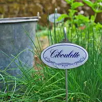 Etiquette de jardin plante aromatique Vintage