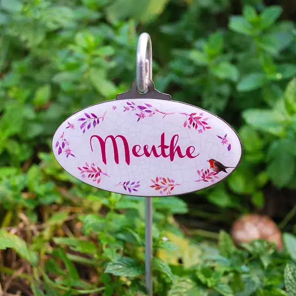 etiquette jardin menthe rouge