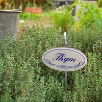 Etiquette de jardin plante aromatique Vintage