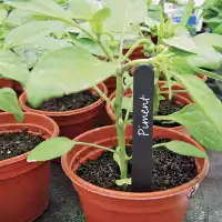 Etiquettes pour plante et potager imputrescibles x20 - L.20cm, Noir