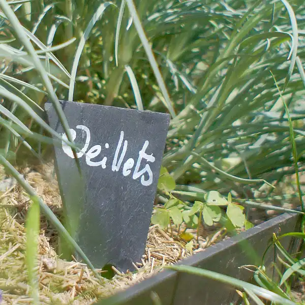 etiquette planter ardoise