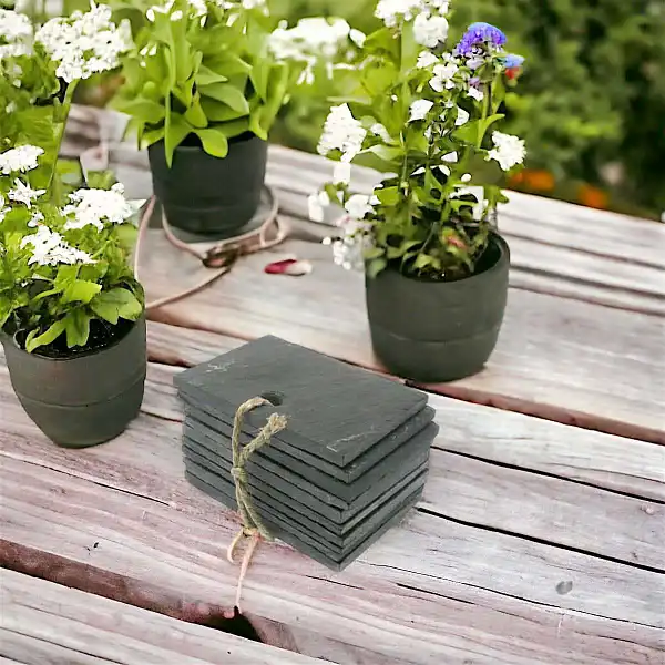 etiquettes ardoise ar2 plantes etiquettes ardoise ar2 plantes