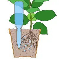 Cône d'arrosage en terre cuite - blanc ou rouge