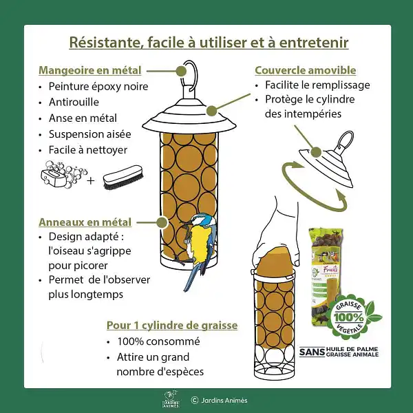 explications mangeoire petillante oiseaux