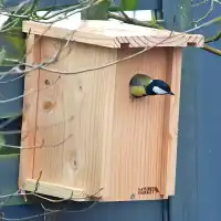 Kit nichoir à assembler en bois pour mésange charbonnière, moineau et sittelle - Trou d'envol 34mm