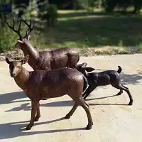 Faon, statue en bronze - Sculpture animaux de jardin - L. 81 x l. 40 x H. 60 cm  Faon, statue en bronze - Sculpture animaux de jardin - L. 81 x l. 40 x H. 60 cm