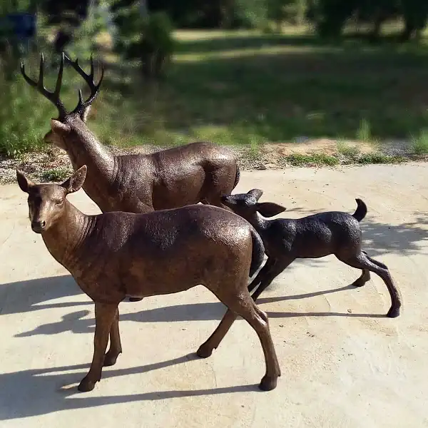 famille cerfs marilyn reynolds  famille cerfs marilyn reynolds